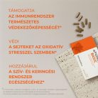 Basic (szív, keringés, immunrendszer)