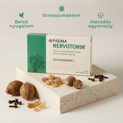 Nervotonin (idegrendszer)