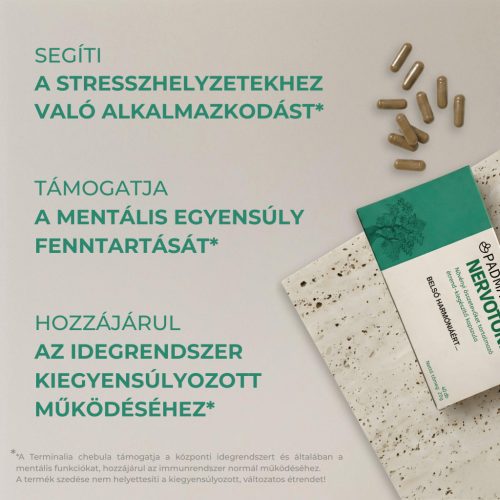 Nervotonin (idegrendszer)